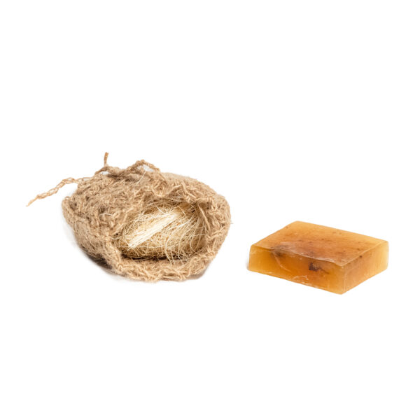 Grosse Éponge Fibre d'Agave avec Savon