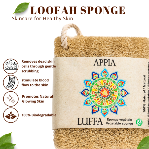 loofah features