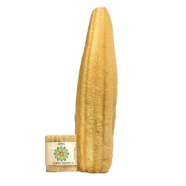 1 Whole Egyptian Loofah Sponge