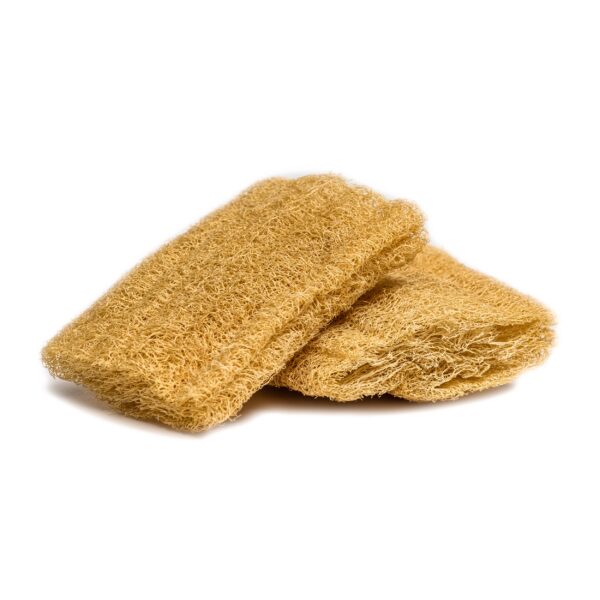 1 Medium Egyptian Loofah Sponge Appia Luffa