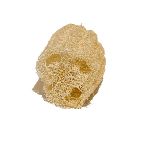 éponge végétale luffa loofah vegetable sponge