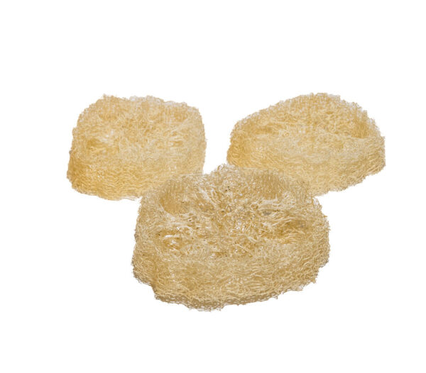3 Rondelles luffa- loofah slices