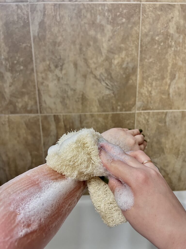 luffa loofah sponge éponge