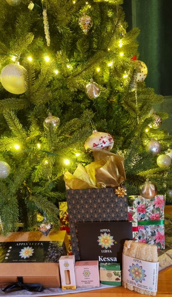Coffret Cadeau Noël Soins de la Peau