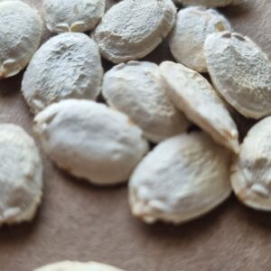 loofah seeds