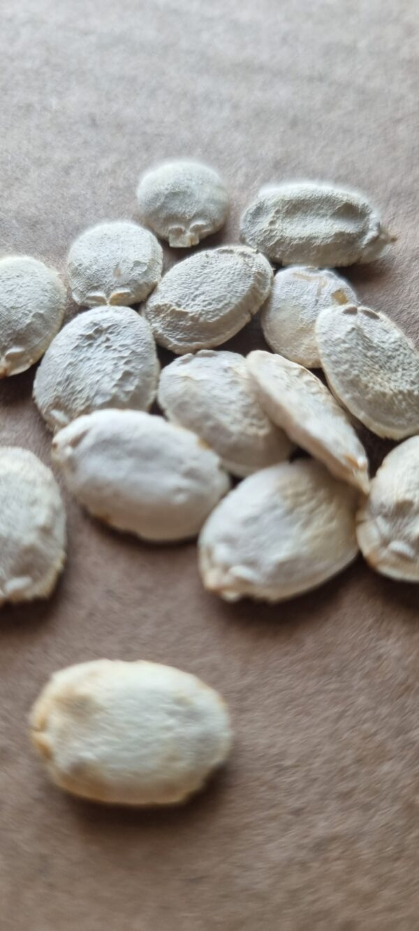 loofah seeds