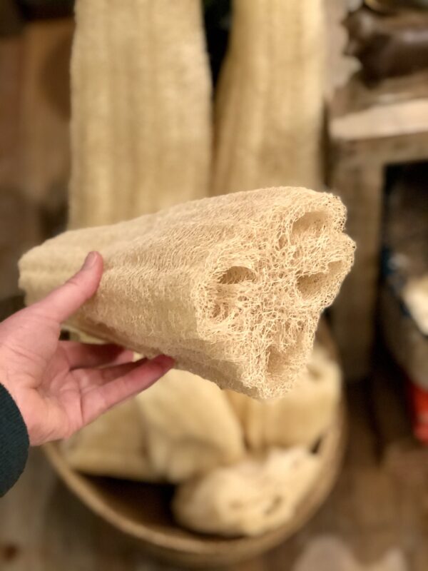 loofah sponge